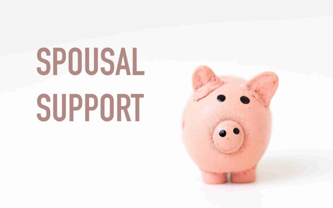 Sad piggy bank is worried about spousal support payments